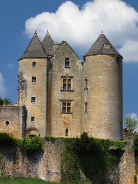 Salignac；Castle