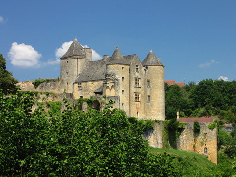 Salignac；Castle