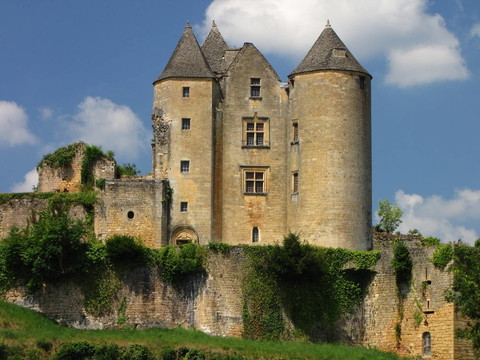 Salignac；Castle