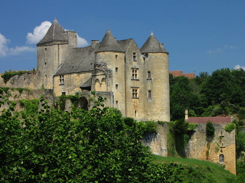 Salignac；Castle