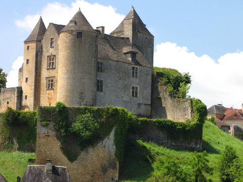 Salignac；Castle