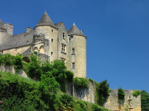 Salignac；Castle