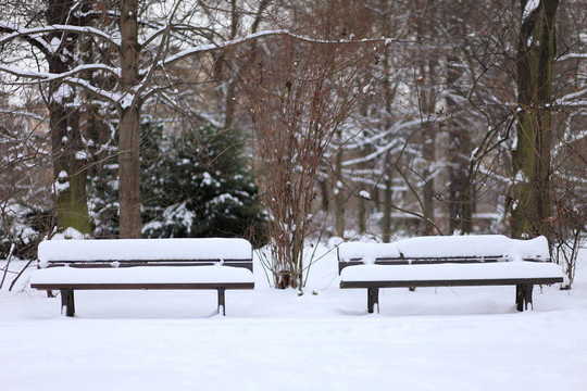 兩條長凳積雪覆蓋在一個公園里