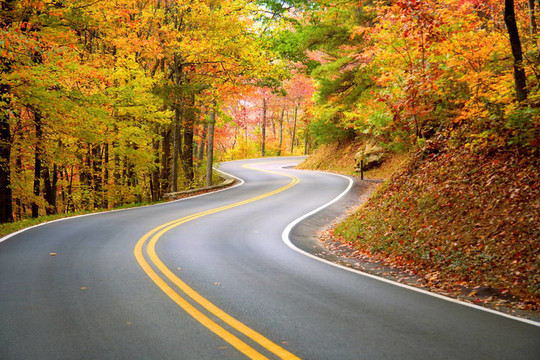 蜿蜒的道路