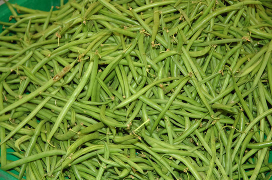 菜豆