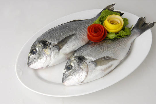 魚