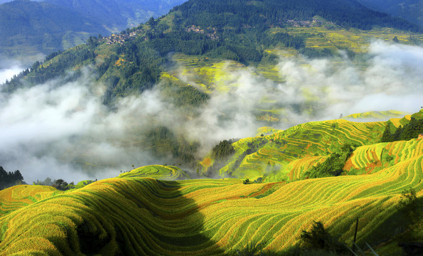 大山里的油畫
