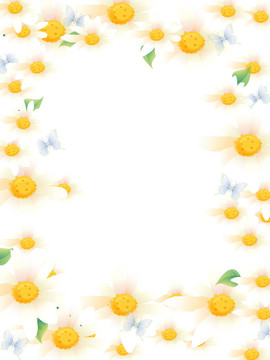 雛菊
