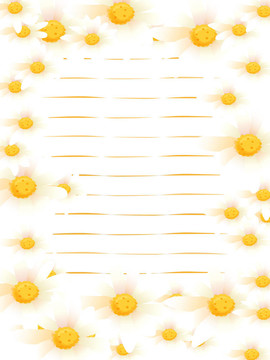 雛菊
