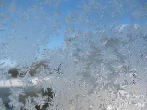 冬季窗上的雪紋