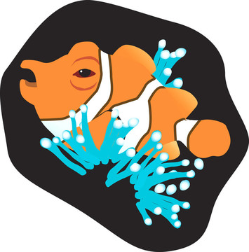 小丑魚