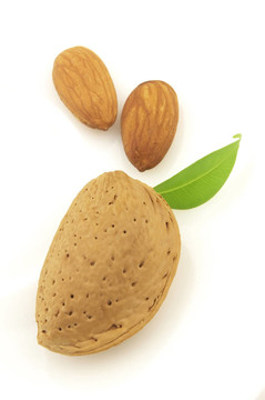 扁桃仁