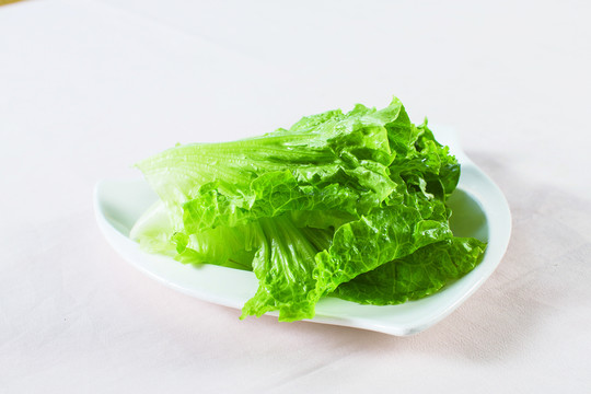 生菜