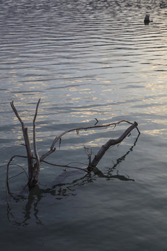 湖