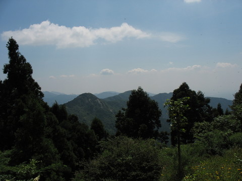 遠山近樹