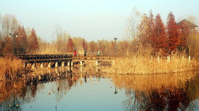 濕地  秋染棧道