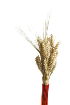 decortaion花瓶小麥