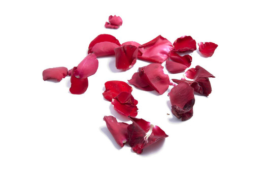 紅色的花瓣