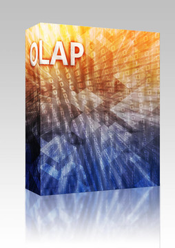 OLAP商業(yè)智能的插圖包裝盒