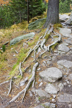 巨大的冷谷；Vysoke Tatry（高水）；斯洛伐克