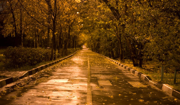 路