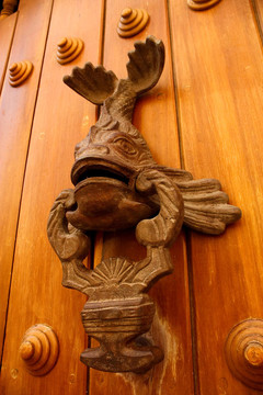 金屬門(mén)環(huán)形魚(yú)。