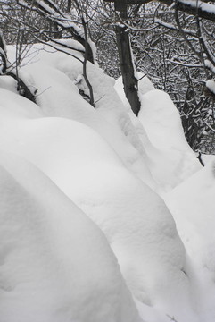 堆雪
