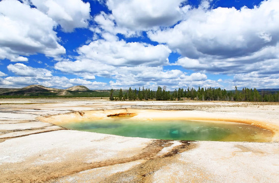 中間歇泉盆地Yellowstone