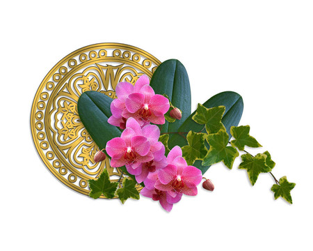 蘭花與常春藤藝術(shù)設(shè)計(jì)