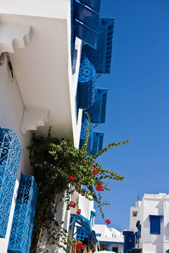 0909_0949白宮balkony