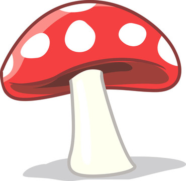 蘑菇