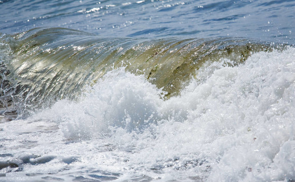 海浪波