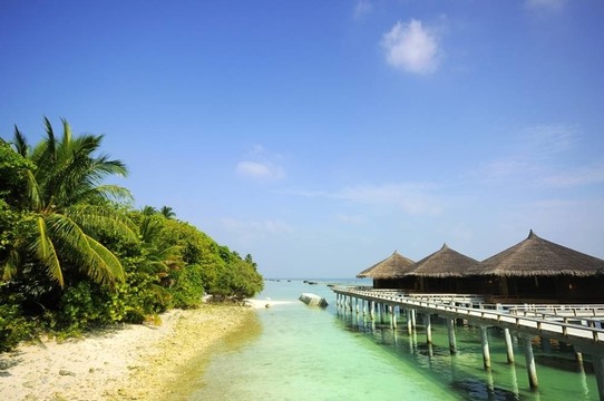 海灘場(chǎng)景