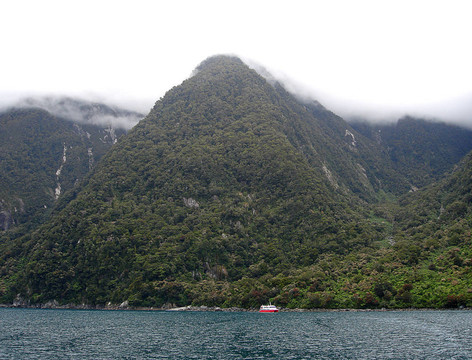 旅游船航行在過(guò)去的Mountains米爾福德峽灣；新西蘭。TE瓦希普繳默的世界遺產(chǎn)