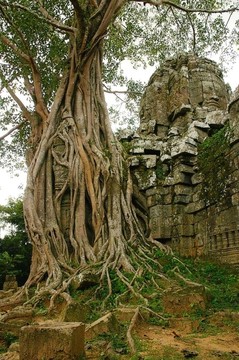 柬埔寨古代寺廟的運(yùn)行