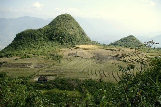 山區(qū)水稻景觀