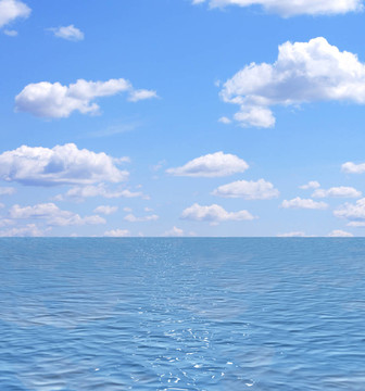 海