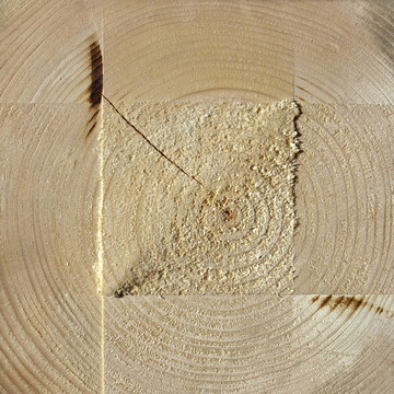 木環(huán)