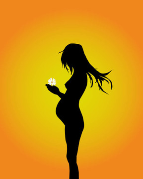 懷孕婦女的剪影