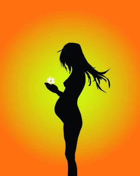 懷孕婦女的剪影