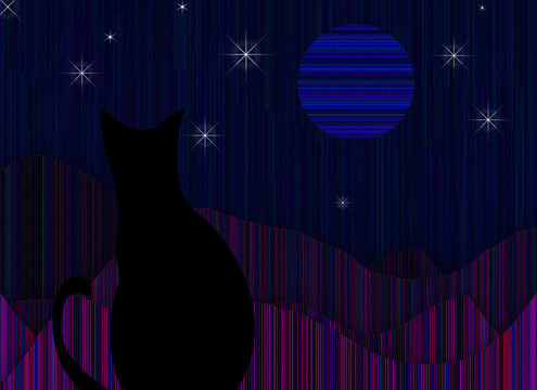 猫凝视着夜晚