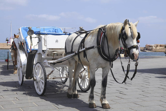 馬車在Xania的游客；克里特島