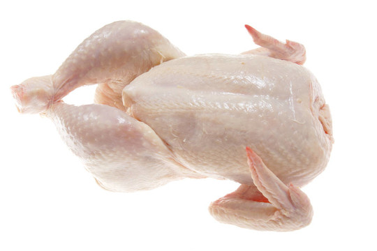 生雞肉
