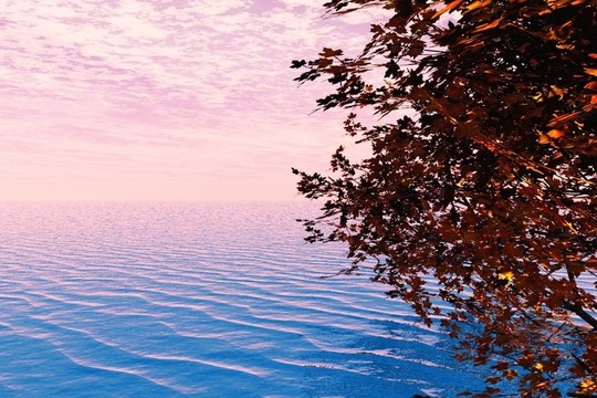 楓和海