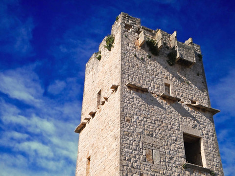 古代的紅色石頭塔Giovinazzo。Apulia。