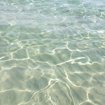 海水