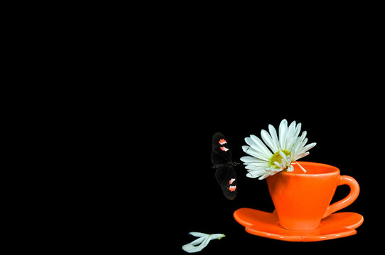 下午茶時(shí)間