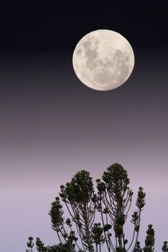 全Moon