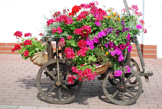 花的手推車