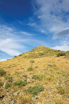 山